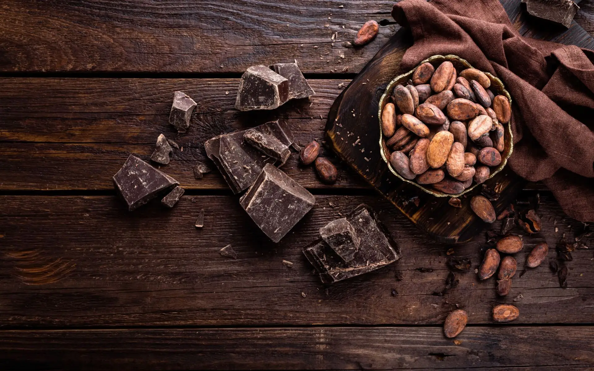 Ateliers de fabrication de chocolat - Choco Chocolat - Chocolaterie  artisanale